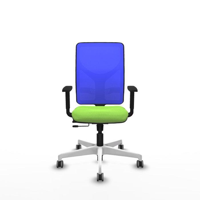 PIQUERAS Y CRESPO Silla de oficina Motilla con mecanismo Sincro/Traslack, tela Pistacho y malla Azul