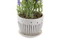 DKD Home Decor Planta de Lavanda en Cerámica y PE Surtido de 2