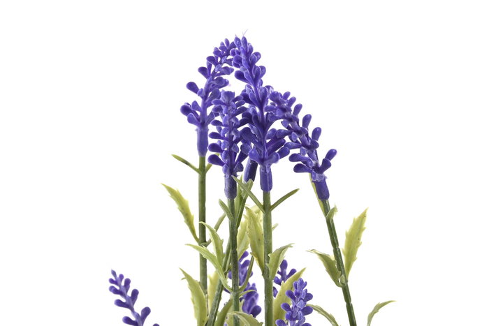 DKD Home Decor Planta de Lavanda en Cerámica y PE Surtido de 2