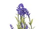 DKD Home Decor Planta de Lavanda en Cerámica y PE Surtido de 2