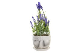 DKD Home Decor Planta de Lavanda en Cerámica y PE Surtido de 2