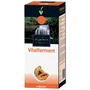 NOVADIET Vitalferment Papaya Fermentada 250ml