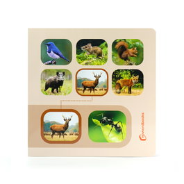 NOWORDBOOKS SCP, BUSCA Y ENCUENTRA ANIMALES DEL BOSQUE - NOWORDBOOKS