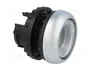 EATON ELECTRIC Interruptor de presión RMQ-Titan 22mm 2 posiciones