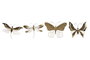 DKD Home Decor Decoración de Pared de Metal Mariposa, Set de 4, Dorado