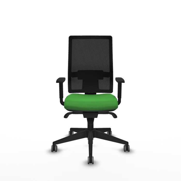 PIQUERAS Y CRESPO Silla de oficina Horna con mecanismo Sincro, Tela Verde y Malla Negra PIQUERAS Y CRESPO Silla de oficina Horna con mecanismo Sincro, Tela Verde y Malla Negra