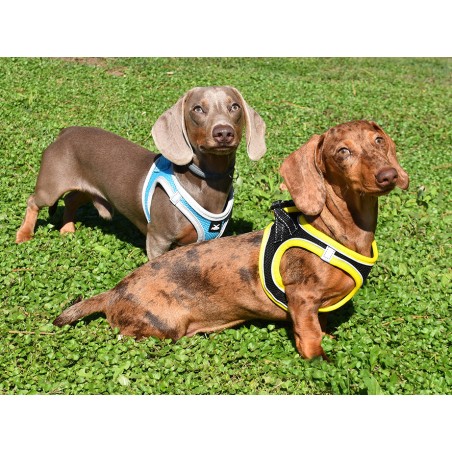 Nayeco Arnés X-Trm Neo Negro Talla S para Perros de 40-45 cm con Tejido Transpirable y Reflectante