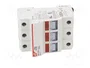 DF ELECTRIC Portafusibles PMX de 3 polos, 32A, 10x38mm