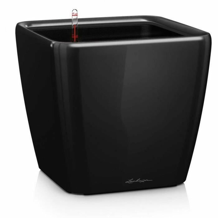 Lechuza Quadro Premium LS 50 Negro Brillante con Reserva de Agua Lechuza Quadro Premium LS 50 Negro Brillante con Reserva de Agua