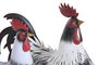 DKD Home Decor Figura de Metal Gallo Surtido de 2 Unidades