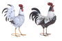 DKD Home Decor Figura de Metal Gallo Surtido de 2 Unidades