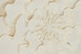 DKD Home Decor Cuadro de Cristal y Papel Mache con Diseño Floral 80x80 cm