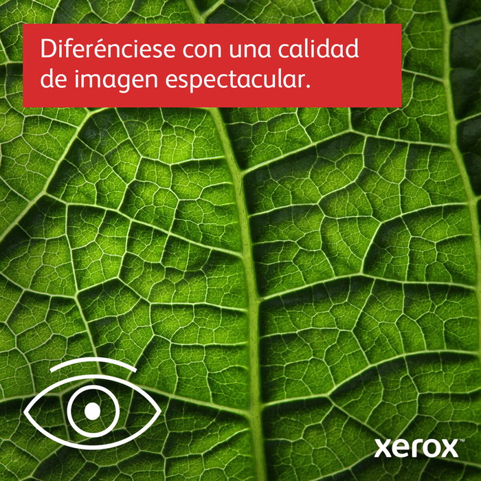 Xerox VersaLink C415V_DN Multifunción Láser Color A4