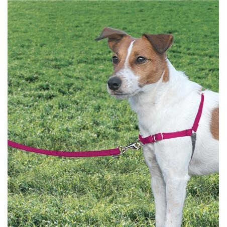 Petsafe Easy Walk Arnés Grande Rojo Petsafe Easy Walk Arnés Grande Rojo