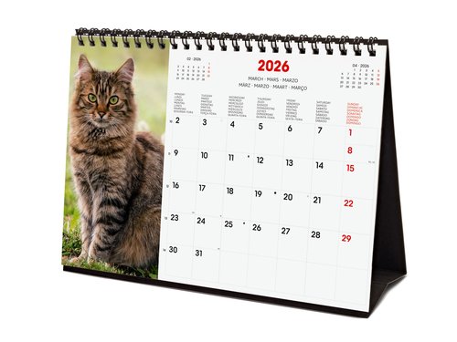 FINOCAM Calendario de Sobremesa 2026 Cats FINOCAM Calendario de Sobremesa 2026 Cats