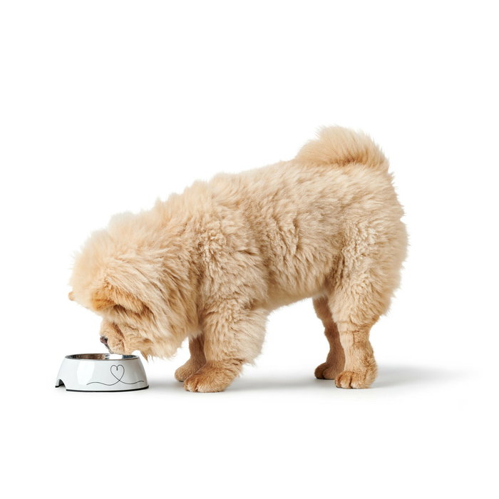 Comedero para Perro Hunter Valencia Blanco 160 ml