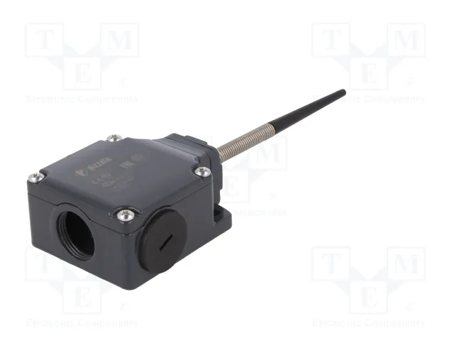 PIZZATO ELETTRICA Interruptor de fin de carrera FL 520 NO+NC 10A