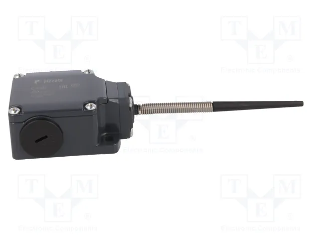 PIZZATO ELETTRICA Interruptor de fin de carrera FL 520 NO+NC 10A