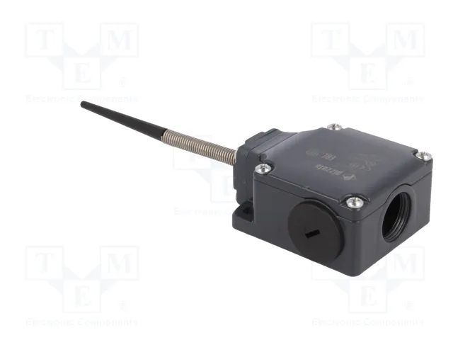 PIZZATO ELETTRICA Interruptor de fin de carrera FL 520 NO+NC 10A