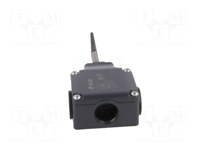 PIZZATO ELETTRICA Interruptor de fin de carrera FL 520 NO+NC 10A