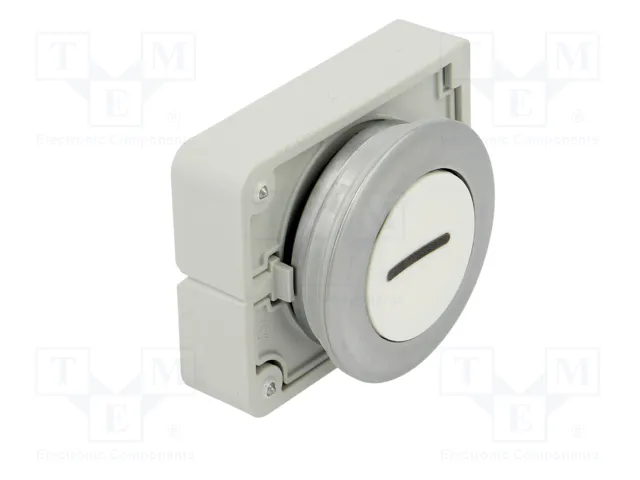 EATON ELECTRIC Interruptor de presión RMQ-Titan blanco