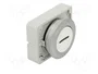 EATON ELECTRIC Interruptor de presión RMQ-Titan blanco
