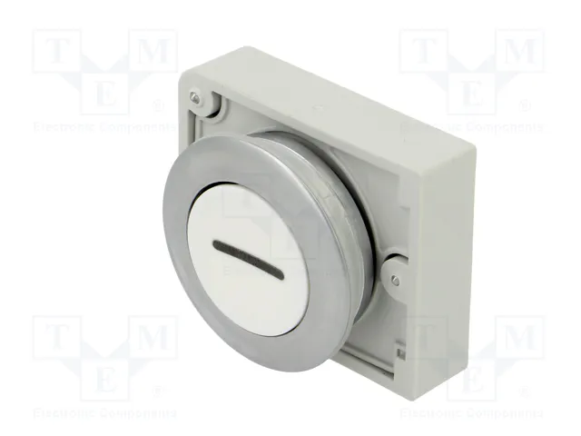 EATON ELECTRIC Interruptor de presión RMQ-Titan blanco