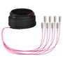 EFB Elektronik O8321S10OM4 Cable de fibra óptica OM4 8x SC a 8x SC 10m