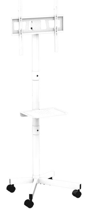 Gembird TVS-55T-03-W Soporte de Suelo para TV 32-55'' Blanco Gembird TVS-55T-03-W Soporte de Suelo para TV 32-55'' Blanco