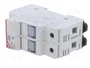 DF ELECTRIC Portafusibles PMX 2 Polos 32A 10x38mm