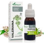 Soria Natural Extracto Valeriana Fórmula XXI 50ml
