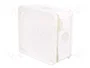 ELEKTRO-PLAST NASIELSK Caja de conexiones IP55 de 98x98x46mm Blanca