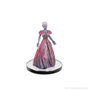 Wizkids D&D The Legend of Drizzt 35th Anniversary Miniaturas prepintadas Family & Foes Boxed Set
