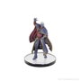 Wizkids D&D The Legend of Drizzt 35th Anniversary Miniaturas prepintadas Family & Foes Boxed Set
