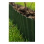 Nature Borde de césped de polietileno verde 25cm X 9m