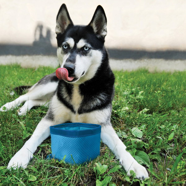 Petsafe Kurgo Zippy Bowl Azul 1,4L