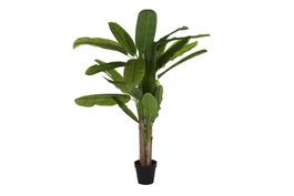 DKD Home Decor Planta Banana Verde 90 x 240 x 90 cm (2 Unidades) Terraza y Jardín