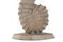 DKD Home Decor Set de Decoración 3 Piezas de Albasia con Caballito