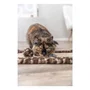 TRIXIE Alfombrilla Rascadora para Gatos Estampado Leopardo Marrón LEO 55 x 35 cm TRI4011905816142