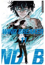 Penguin Random House Grupo Editorial, S.A.U. WIND BREAKER 11