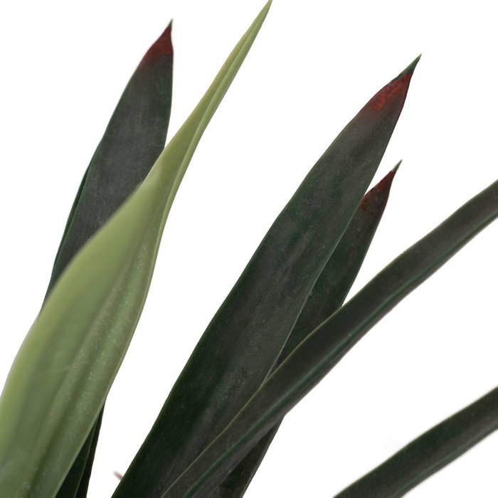 Ixia Planta Yuca Verde Goma Decoración 125 cm