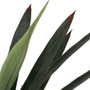 Ixia Planta Yuca Verde Goma Decoración 125 cm