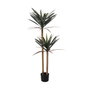 Ixia Planta Yuca Verde Goma Decoración 125 cm