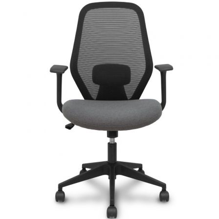Piqueras y Crespo Silla de Oficina Ergo529 con Respaldo de Malla, Brazos Fijos y Apoyo Lumbar, Mecanismo Basculante, Gris, 529BM840XS21PNRN