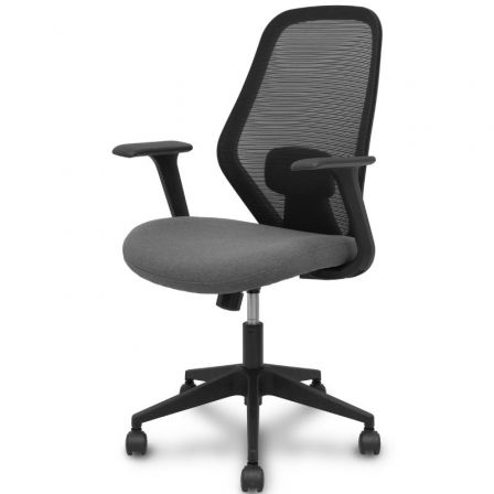Piqueras y Crespo Silla de Oficina Ergo529 con Respaldo de Malla, Brazos Fijos y Apoyo Lumbar, Mecanismo Basculante, Gris, 529BM840XS21PNRN