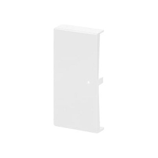 BUSCH-JAEGER Wippe 2-fach studioweiß Busch-free@home 2CKA001582A0369