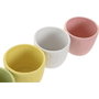 DKD Home Decor Maceta Dolomite Espiga Surtido de 6 unidades