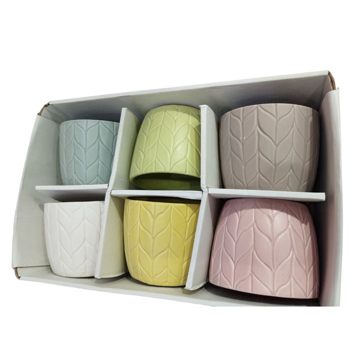 DKD Home Decor Maceta Dolomite Espiga Surtido de 6 unidades
