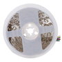 SKY-FSL5050-60L-12mm-RGBCCT-24V-A Tira LED SMD5050 RGB/CCT 24V 5m