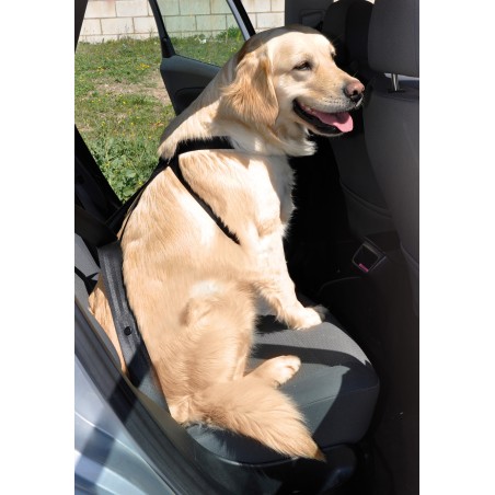 Nayeco Arnés X Coche Negro para Perro, Seguridad Ajustable 25 mmx24-45 cm, 25 mmx26-60 cm